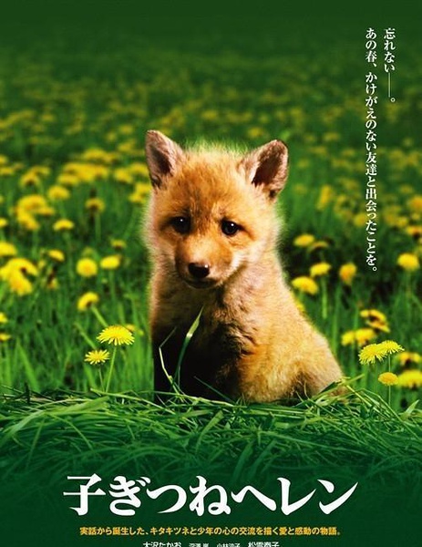 子狐物語DVD,生命奇跡小狐狸DVD,小狐狸海倫DVD,露天商城露天DVD-www.rutenmall.com